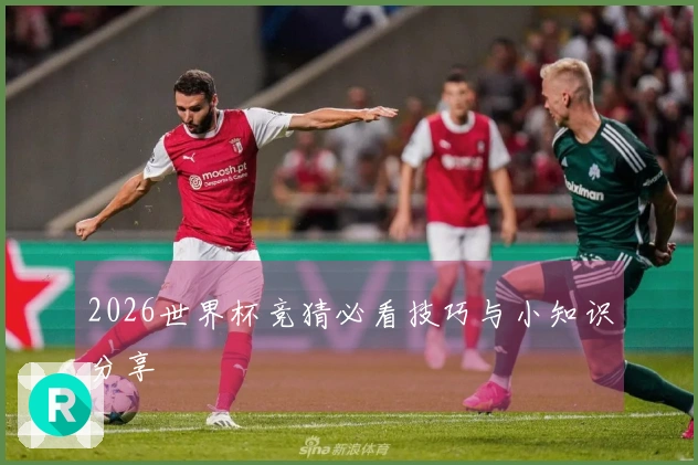 2026世界杯竞猜必看技巧与小知识分享