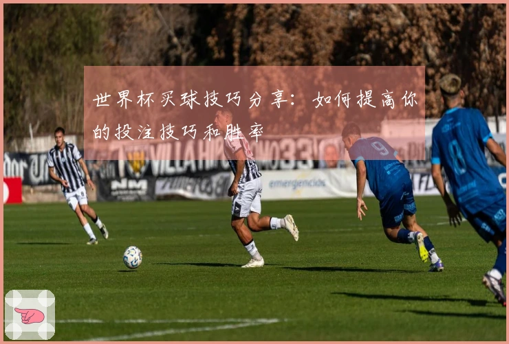 世界杯买球技巧分享：如何提高你的投注技巧和胜率