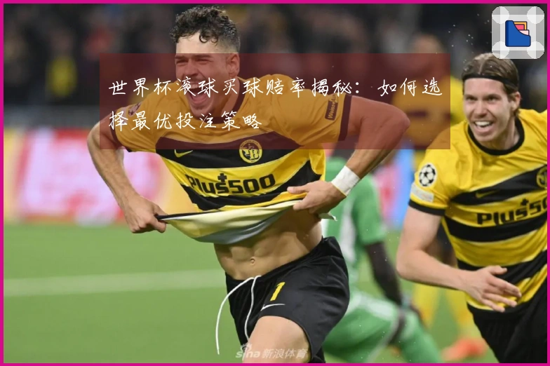 世界杯滚球买球赔率揭秘：如何选择最优投注策略