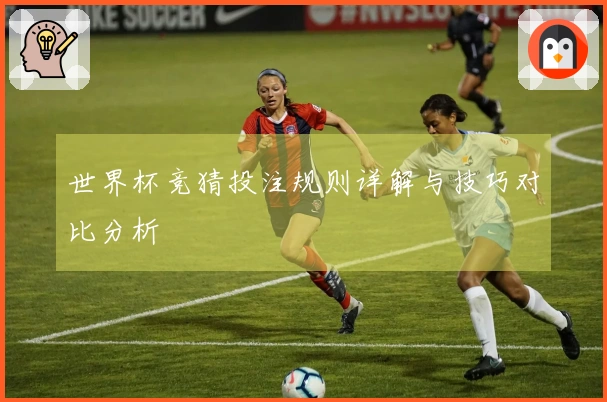 世界杯竞猜投注规则详解与技巧对比分析