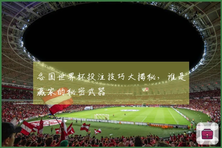 各国世界杯投注技巧大揭秘，谁是赢家的秘密武器