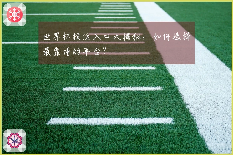 世界杯投注入口大揭秘，如何选择最靠谱的平台？