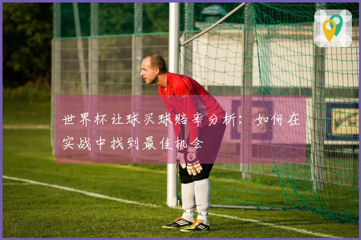 世界杯让球买球赔率分析：如何在实战中找到最佳机会