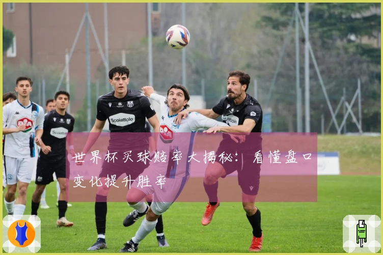 世界杯买球赔率大揭秘：看懂盘口变化提升胜率