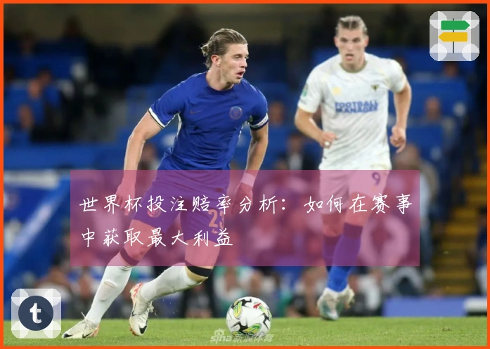 世界杯投注赔率分析：如何在赛事中获取最大利益