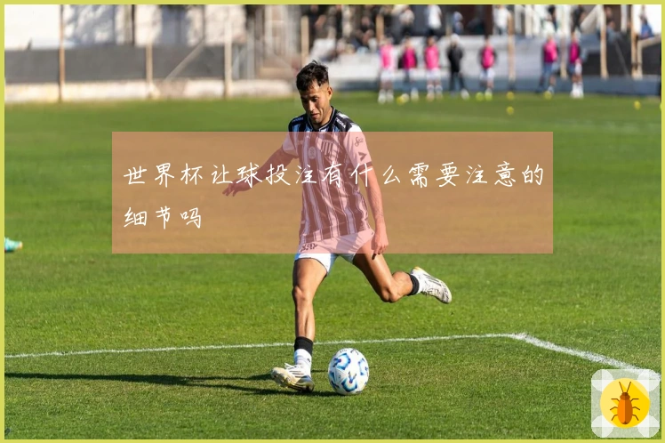 世界杯让球投注有什么需要注意的细节吗