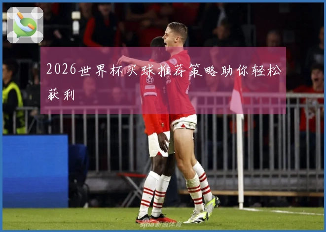 2026世界杯买球推荐策略助你轻松获利