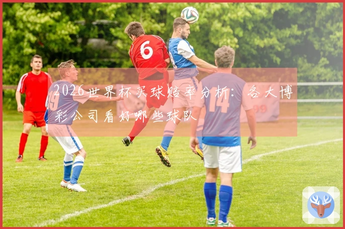 2026世界杯买球赔率分析：各大博彩公司看好哪些球队