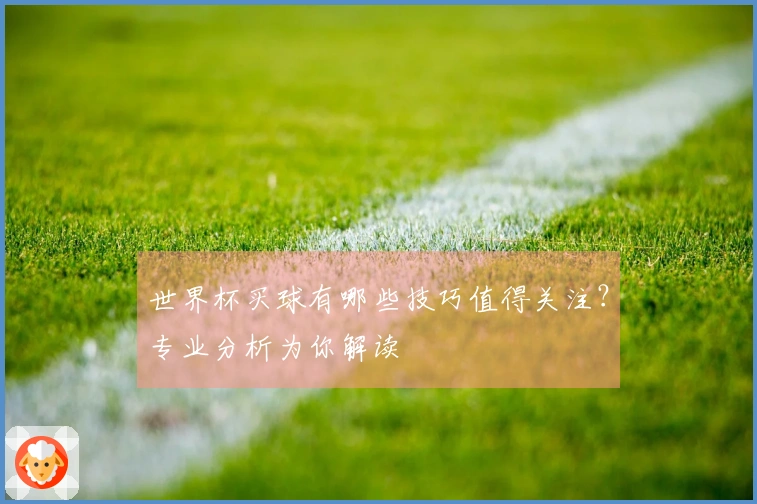 世界杯买球有哪些技巧值得关注？专业分析为你解读
