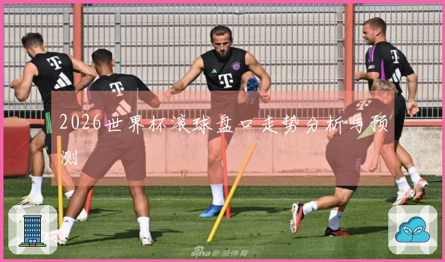 2026世界杯滚球盘口走势分析与预测