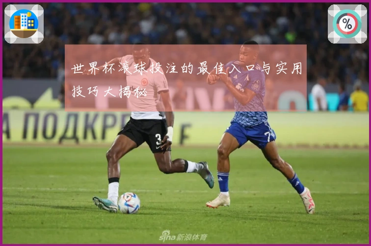 世界杯滚球投注的最佳入口与实用技巧大揭秘