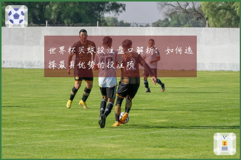 世界杯买球投注盘口解析：如何选择最具优势的投注项