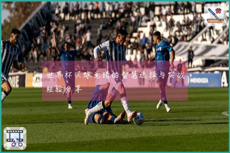 世界杯买球竞猜的智慧选择与实战经验分享