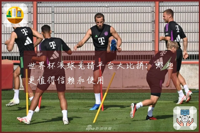 世界杯滚球竞猜平台大比拼：哪些更值得信赖和使用