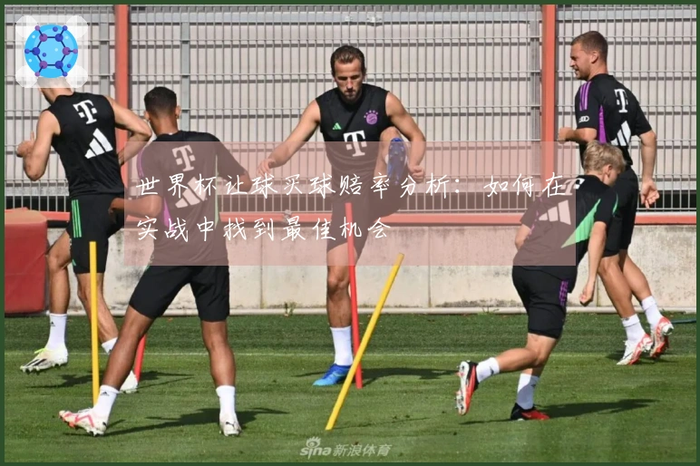 世界杯让球买球赔率分析：如何在实战中找到最佳机会