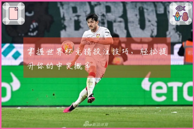 掌握世界杯竞猜投注技巧，轻松提升你的中奖概率