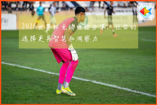 2026世界杯竞猜经验分享：让你的选择更具智慧和洞察力