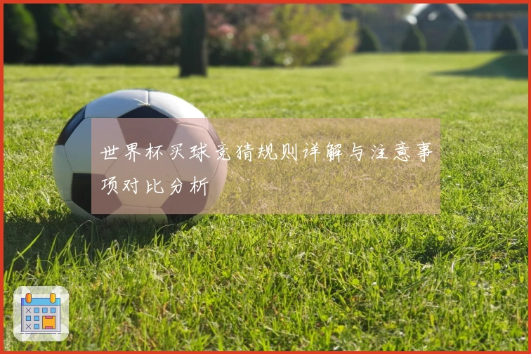 世界杯买球竞猜规则详解与注意事项对比分析
