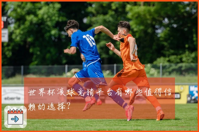 世界杯滚球竞猜平台有哪些值得信赖的选择？