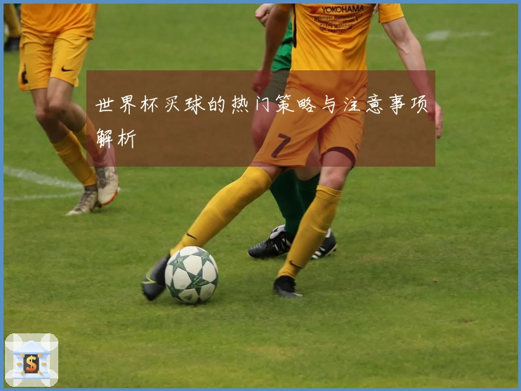 世界杯买球的热门策略与注意事项解析