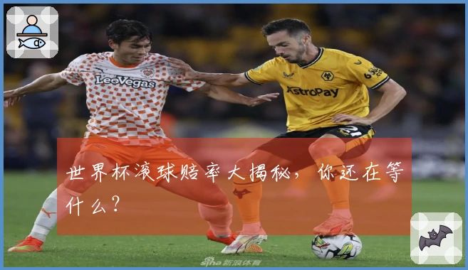 世界杯滚球赔率大揭秘，你还在等什么？