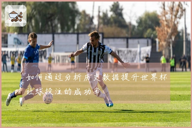 如何通过分析历史数据提升世界杯让球投注的成功率