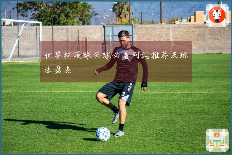 世界杯滚球买球必看网站推荐及玩法盘点