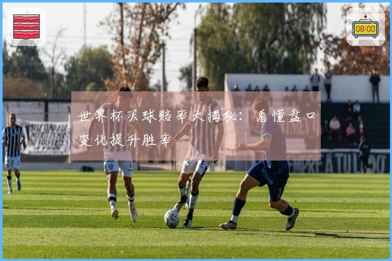 世界杯买球赔率大揭秘：看懂盘口变化提升胜率